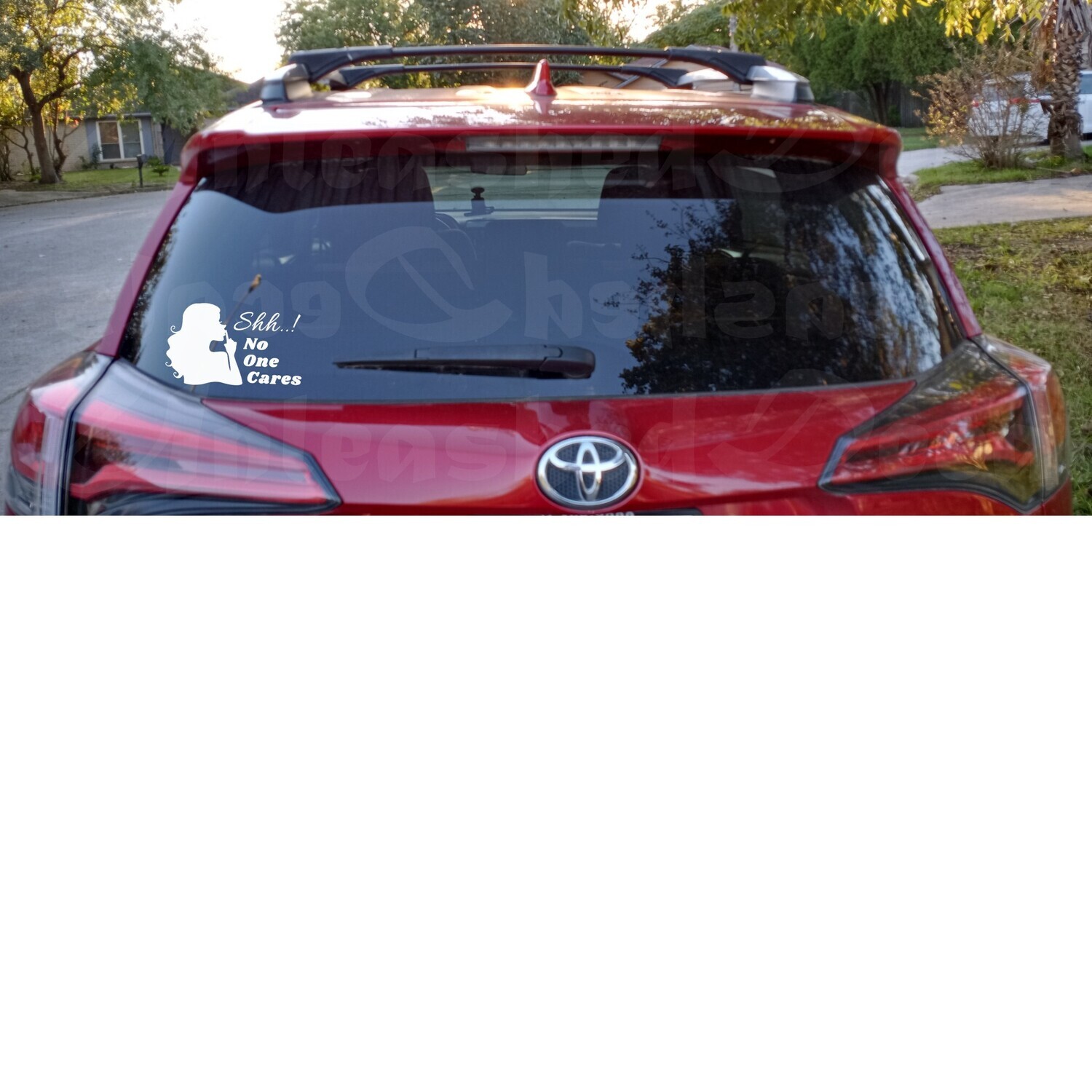 No One Cares Decals