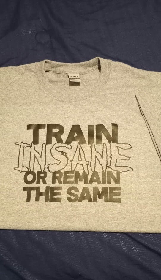 Train Insane or Remain the same T-shirt
