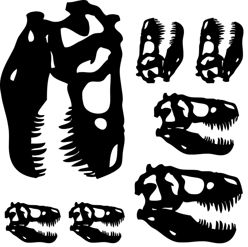 7pc T Rex Skull, Dinosaur bones vinyl Decal, Dinosaur skull sticker, 7pc T rex Dinosaur Decals Set. Get the whole Family.
