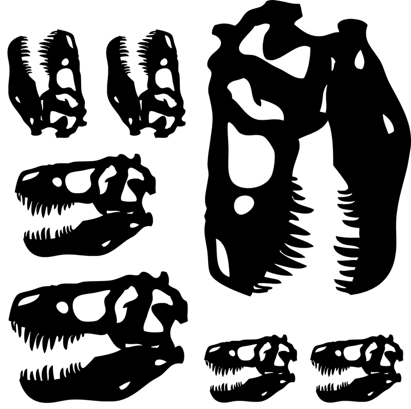 7pc T Rex Skull, Dinosaur bones vinyl Decal, Dinosaur skull sticker, 7pc T rex Dinosaur Decals Set. Get the whole Family.