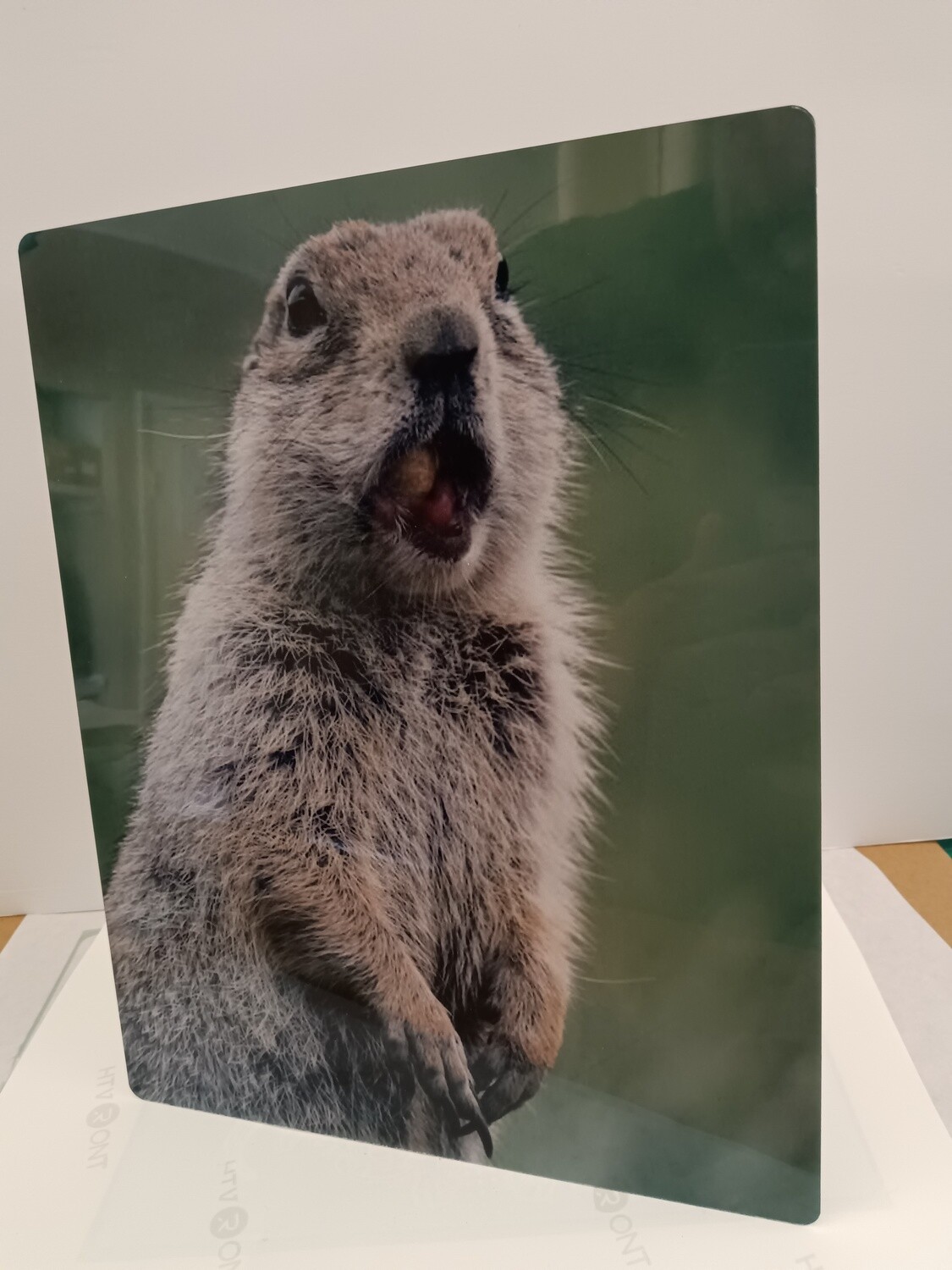 Metal Photo Prints.   Turn your Photos into Metal Art.