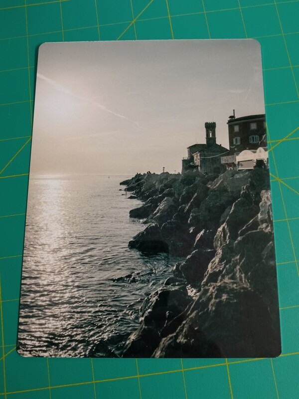 Metal Photo Prints.   Turn your Photos into Metal Art.