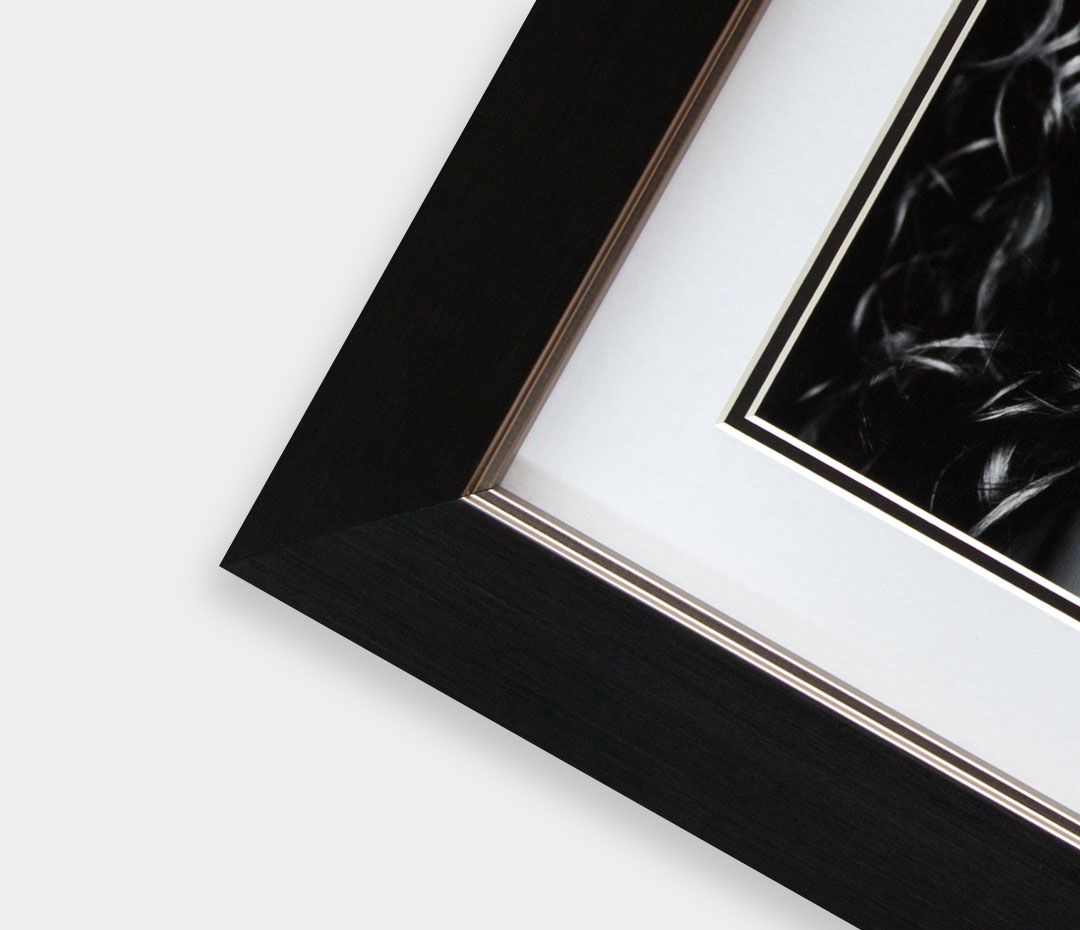 Framed Prints