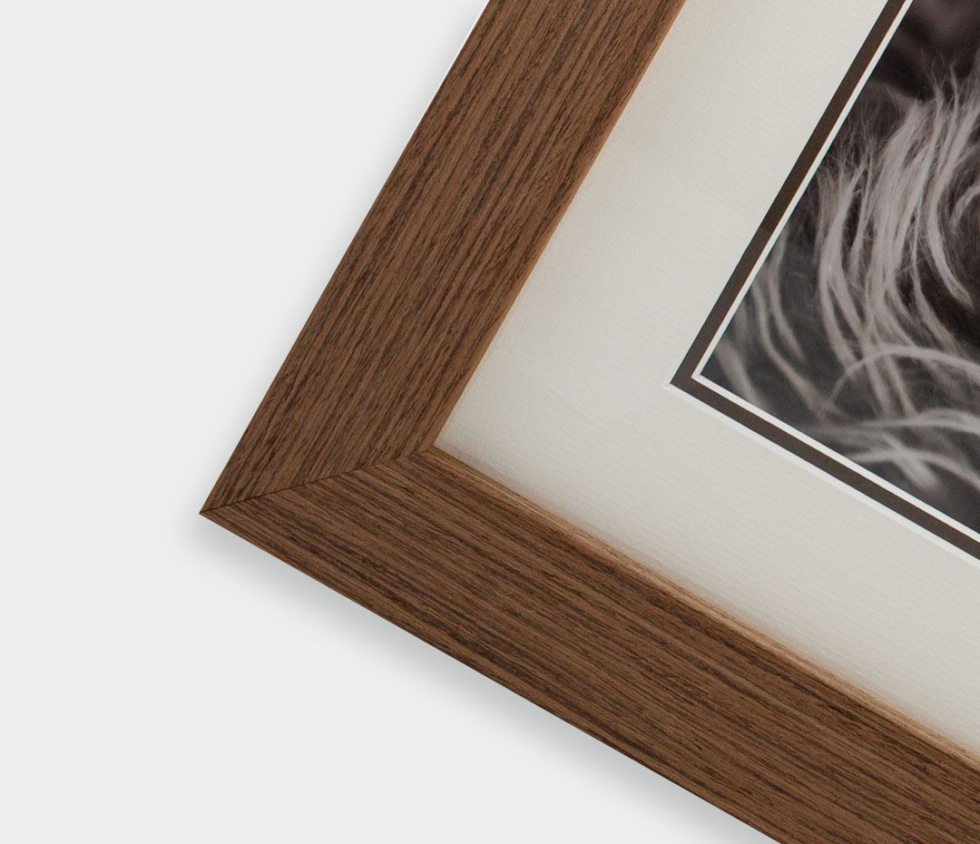 Framed Prints