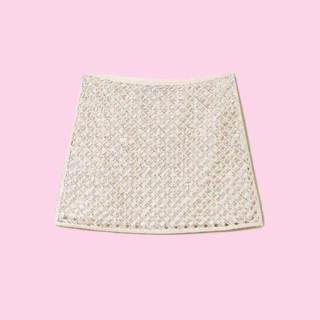 Twinset Mesh Miniskirt With Embroidery, Maat: IT42