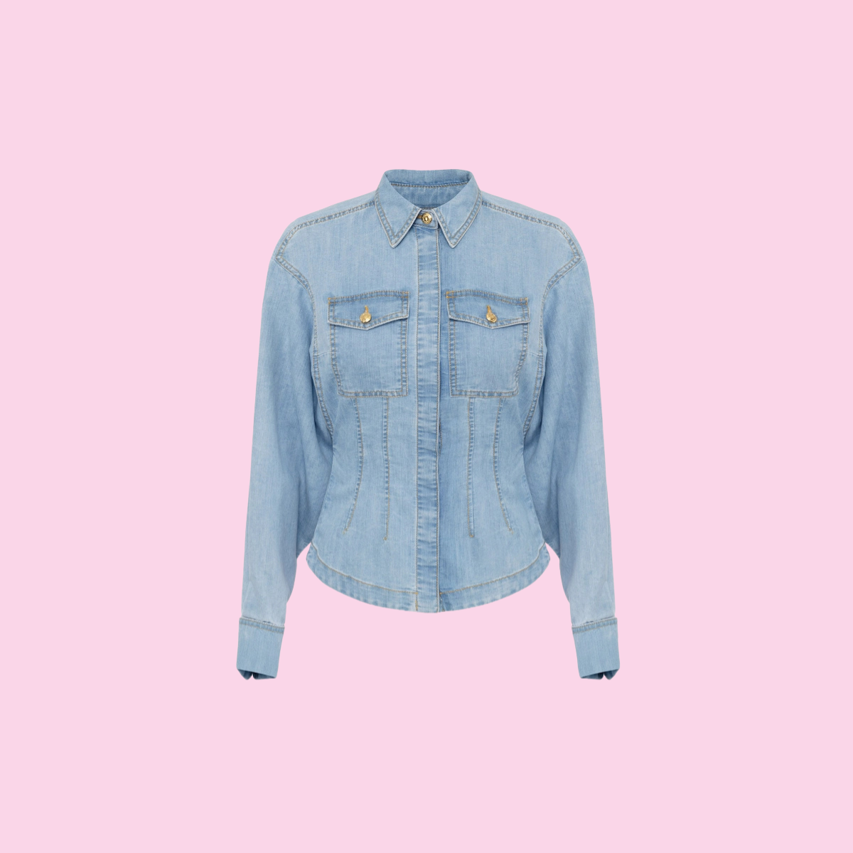Elisabetta Franchi Denim Blouse