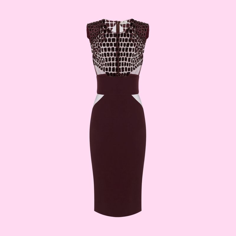 Elisabetta Franchi Dress Merlot