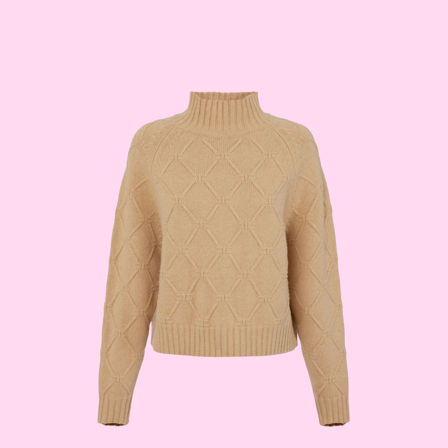 Elisabetta Franchi Pullover Honey