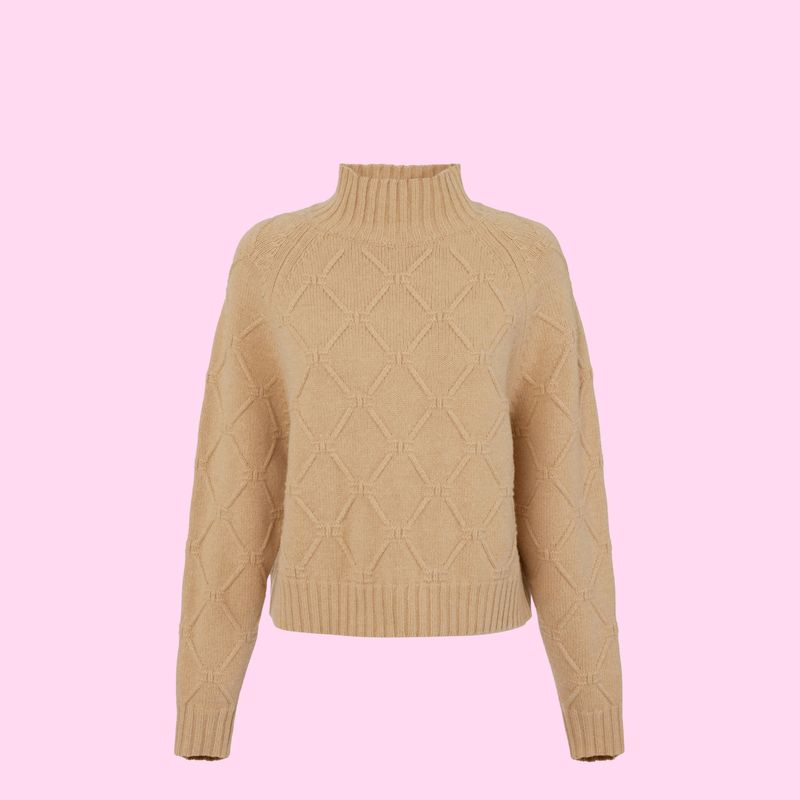Elisabetta Franchi Pullover Honey