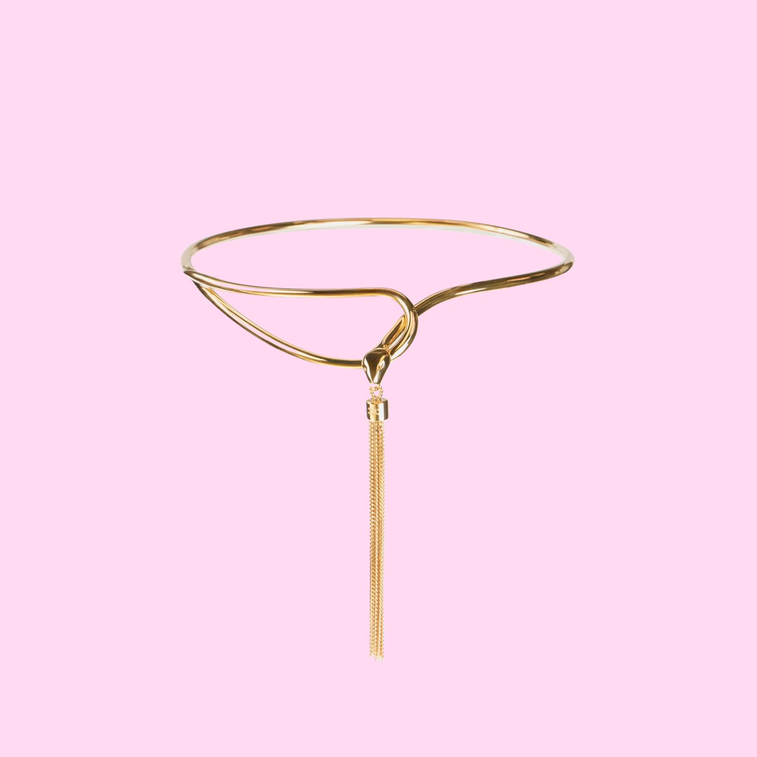Elisabetta Franchi Necklace Snake