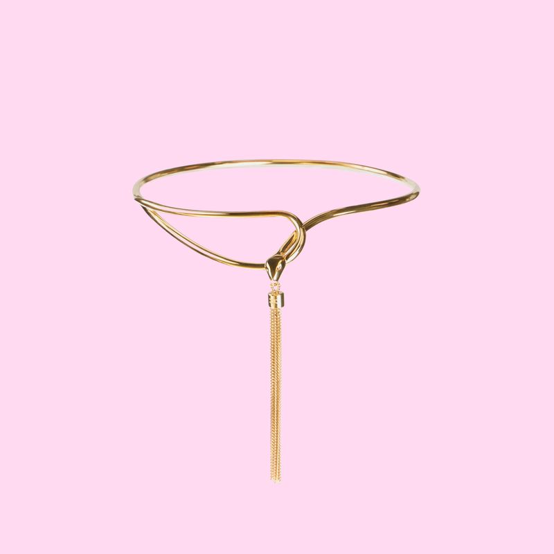 Elisabetta Franchi Necklace Snake