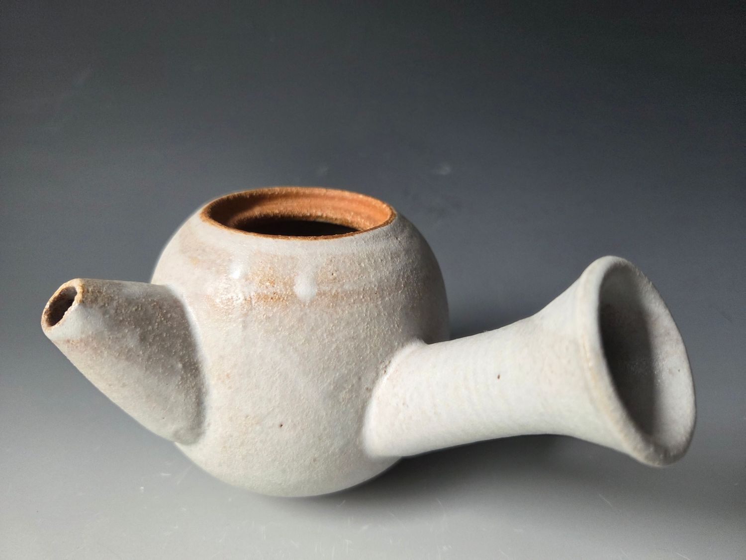 Small Unique Dry Matte Teapot Vase #2
