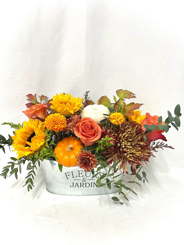 Autumn Greetings