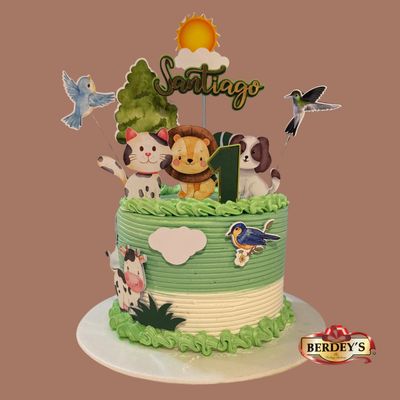 Tortas para Bebé en Bogotá – Smash Cakes y Delicias Saludables