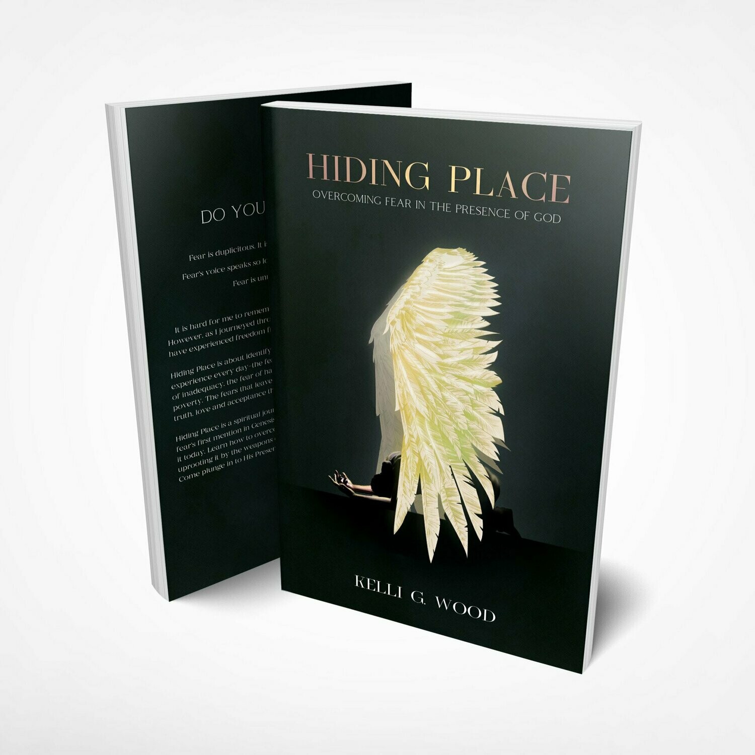 Hiding Place (Paperback)
