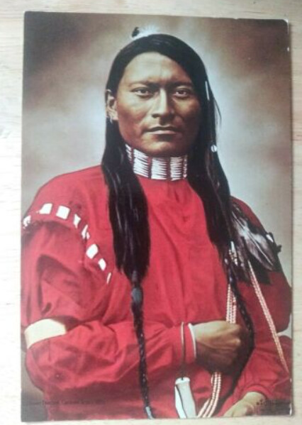 Red Panther A Cheyenne Scout Sleeve Ft Keogh Territory
