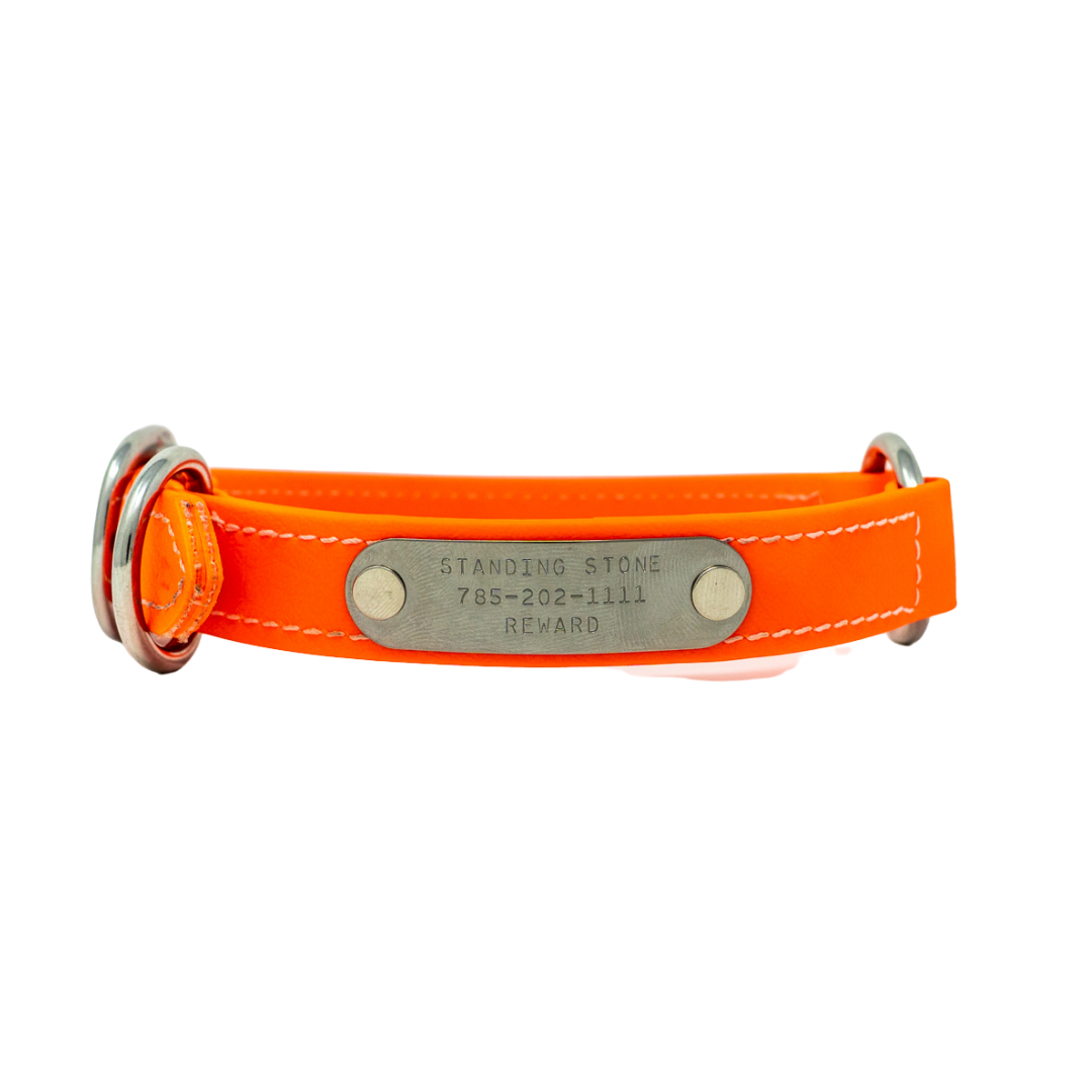 Replacement Name Plates for Biothane and Leather Collars