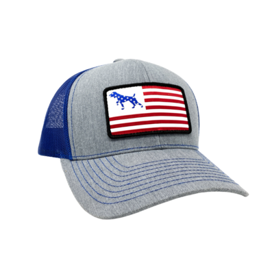GSP ‘Merica Hat