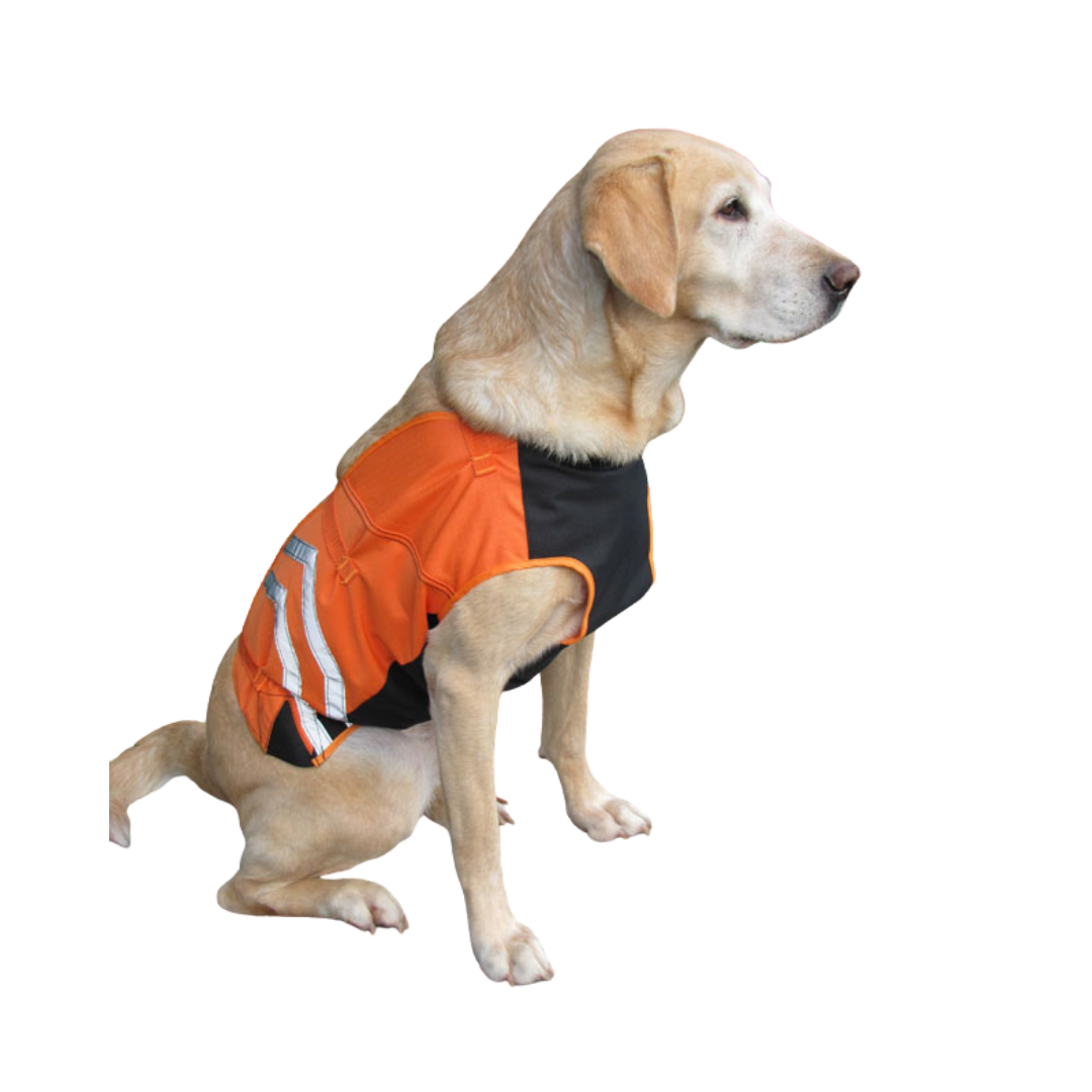 lcs bird dog armor vest