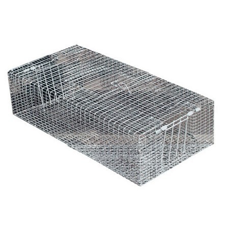 Double Door Pigeon Trap