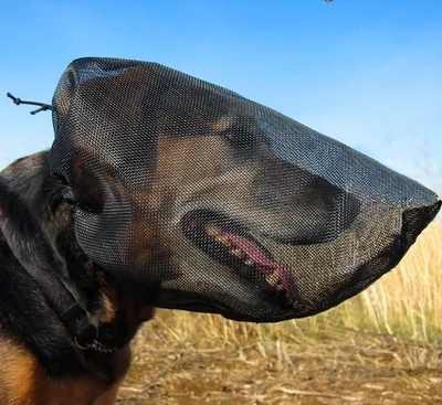 OutFox Field Guard Face Mask