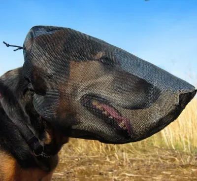 OutFox Field Guard Face Mask