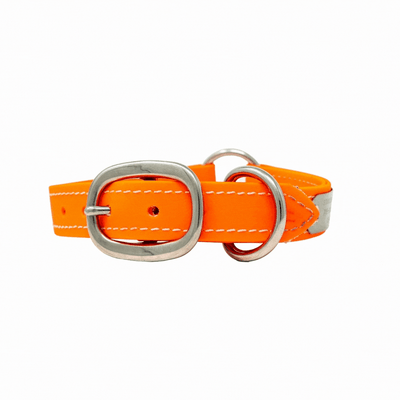 Adult Flat Collar - Biothane