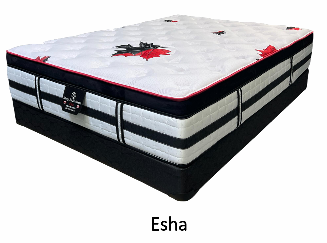 ESHA Euro Top (Gel Latex) 1-Side Plush Pillow Top
