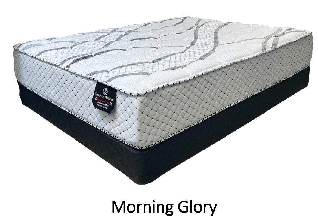 MORNING GLORY One-sided Tight Top