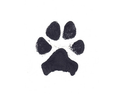 Ink Print* (Paw or Nose)
