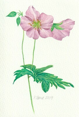 Watercolor Originals