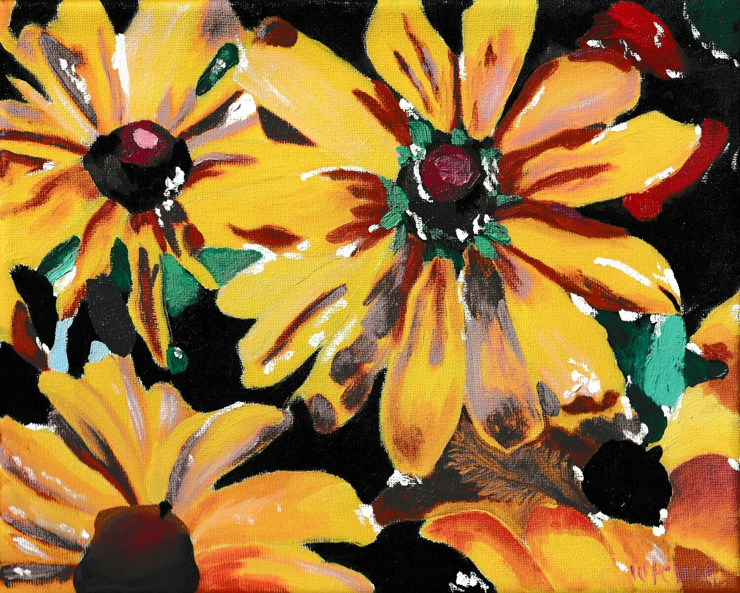 'Rudbeckia'