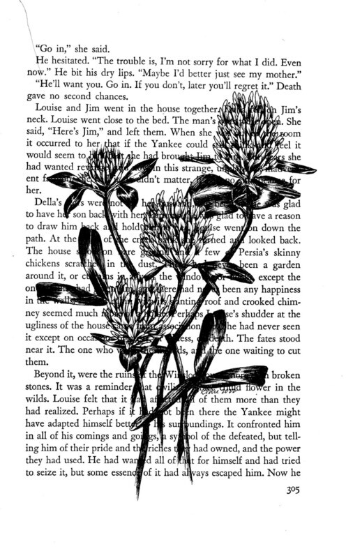 Book Page Drawing: Red Clover