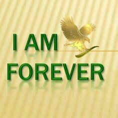 FOREVER ONLINE STORE