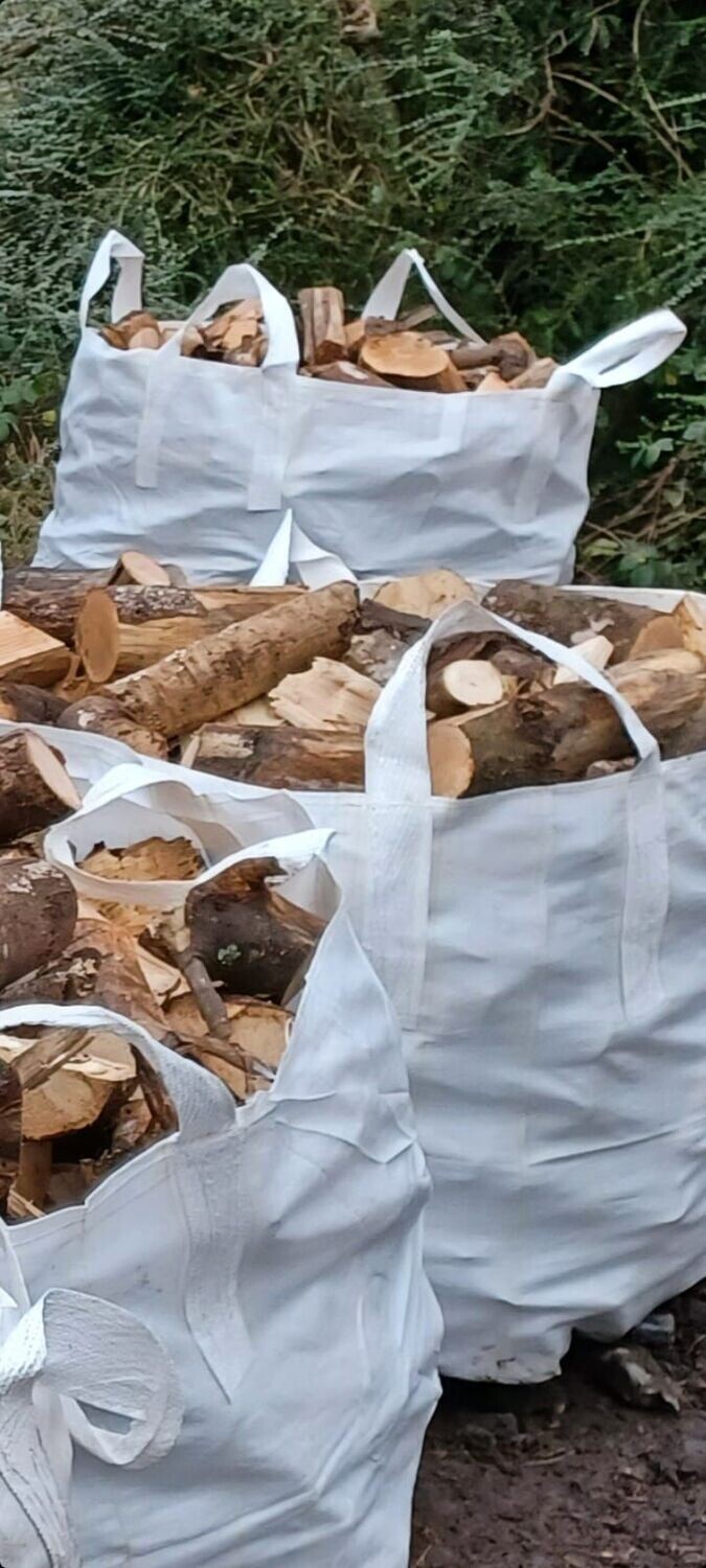 Forest Share - 10 Cubic Sq Meters of Firewood