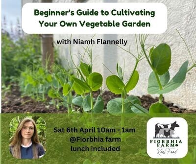 Garden Workshop With Niamh Flannelly,