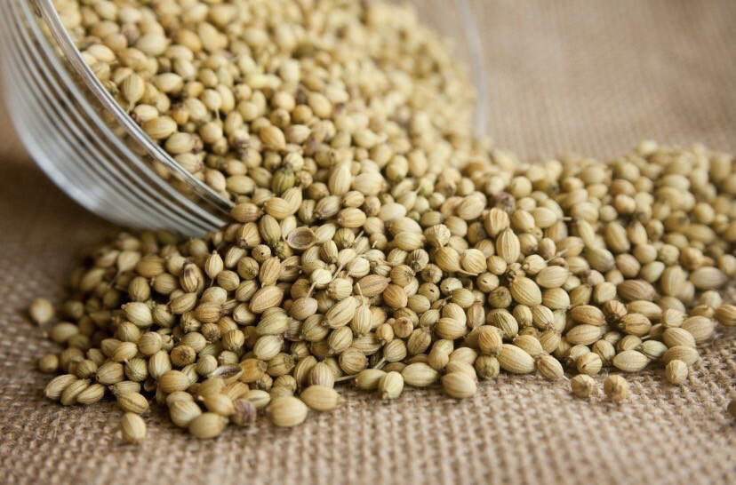 كزبرة حب EMESA Coriander Whole