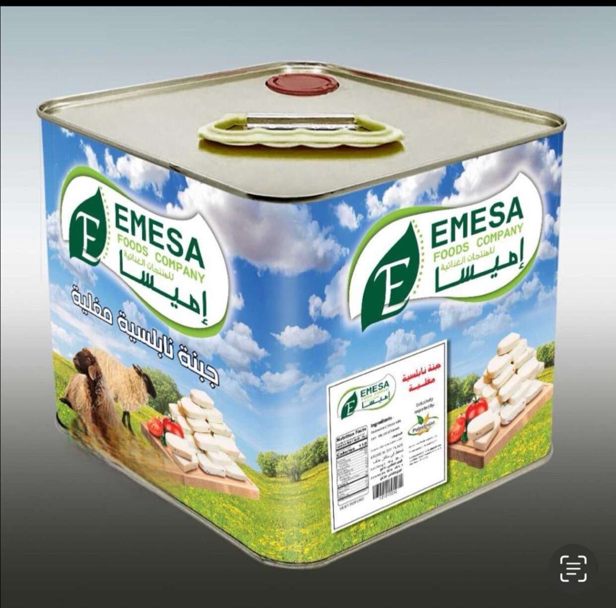 Cheese Tank جبنة حموية تنك