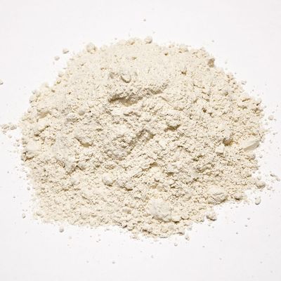 Powder onion || بصل مطحون
