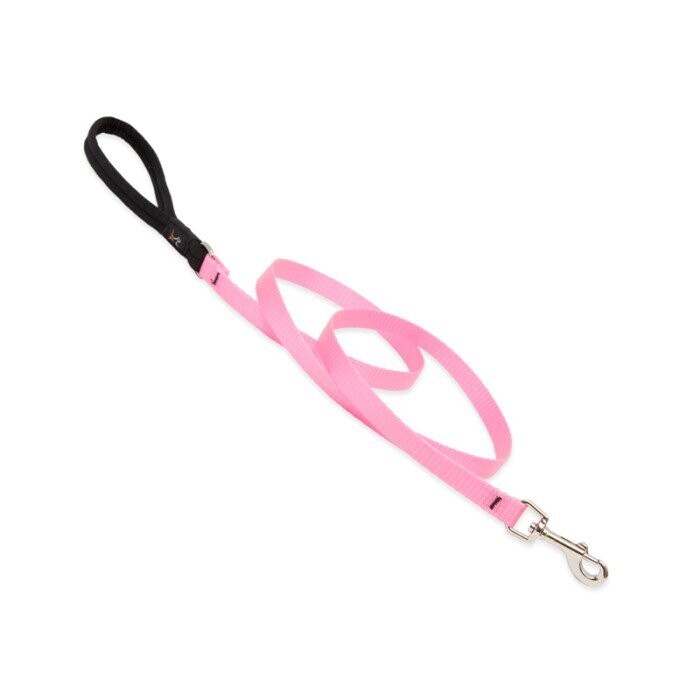 Pink 6ft Leash 1in