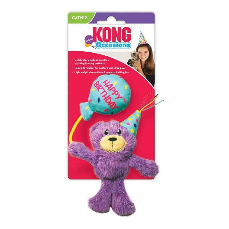 KONG C OCCASIONS BDAY TEDDY