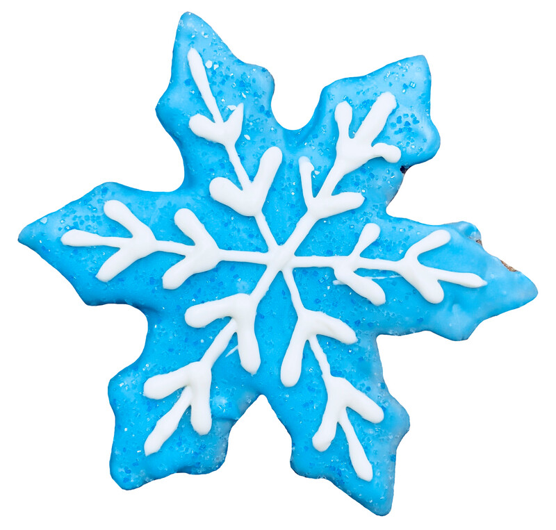 Frozen Snowflake Cookies