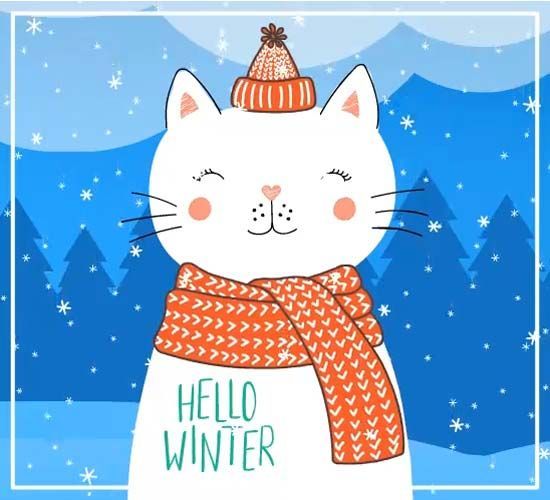 Monthly Announcement's, Saving's &amp; Deal's