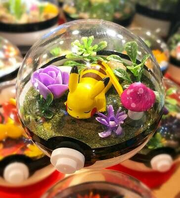 Pikachu sleeping terrarium