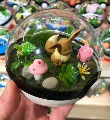 Eevee terrarium