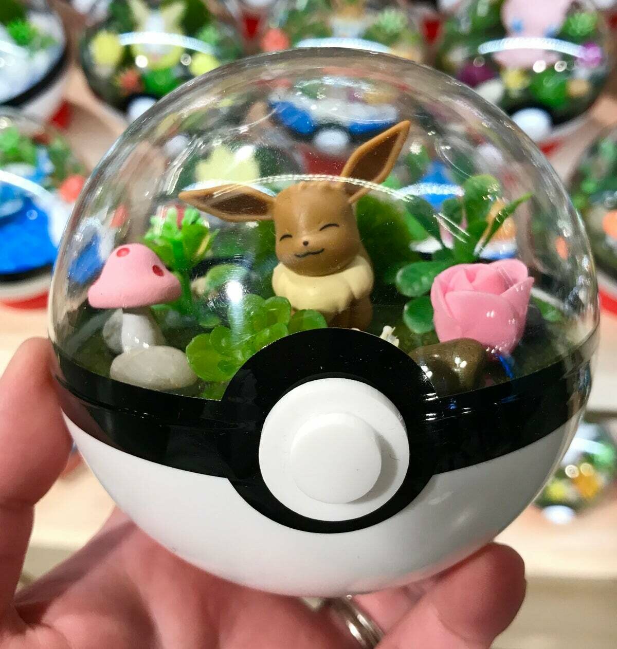 Eevee terrarium