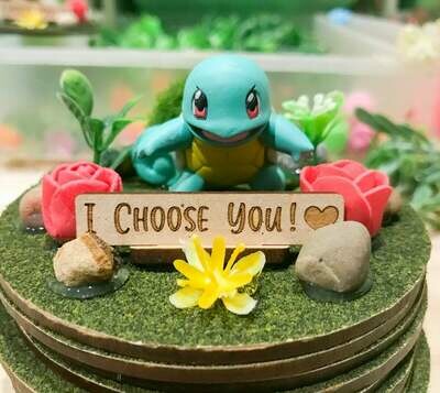 Squirtle "I Choose You" terrarium