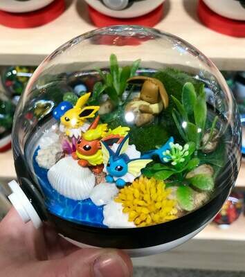Eeveelutions terrarium
