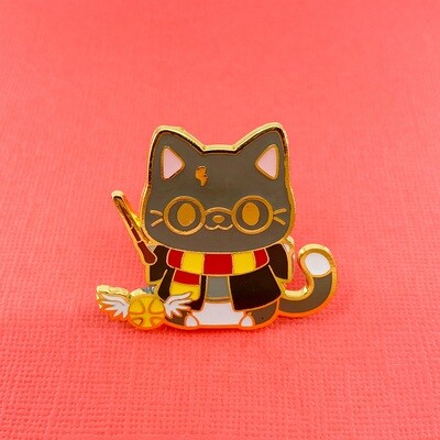 Harry Potter Cat