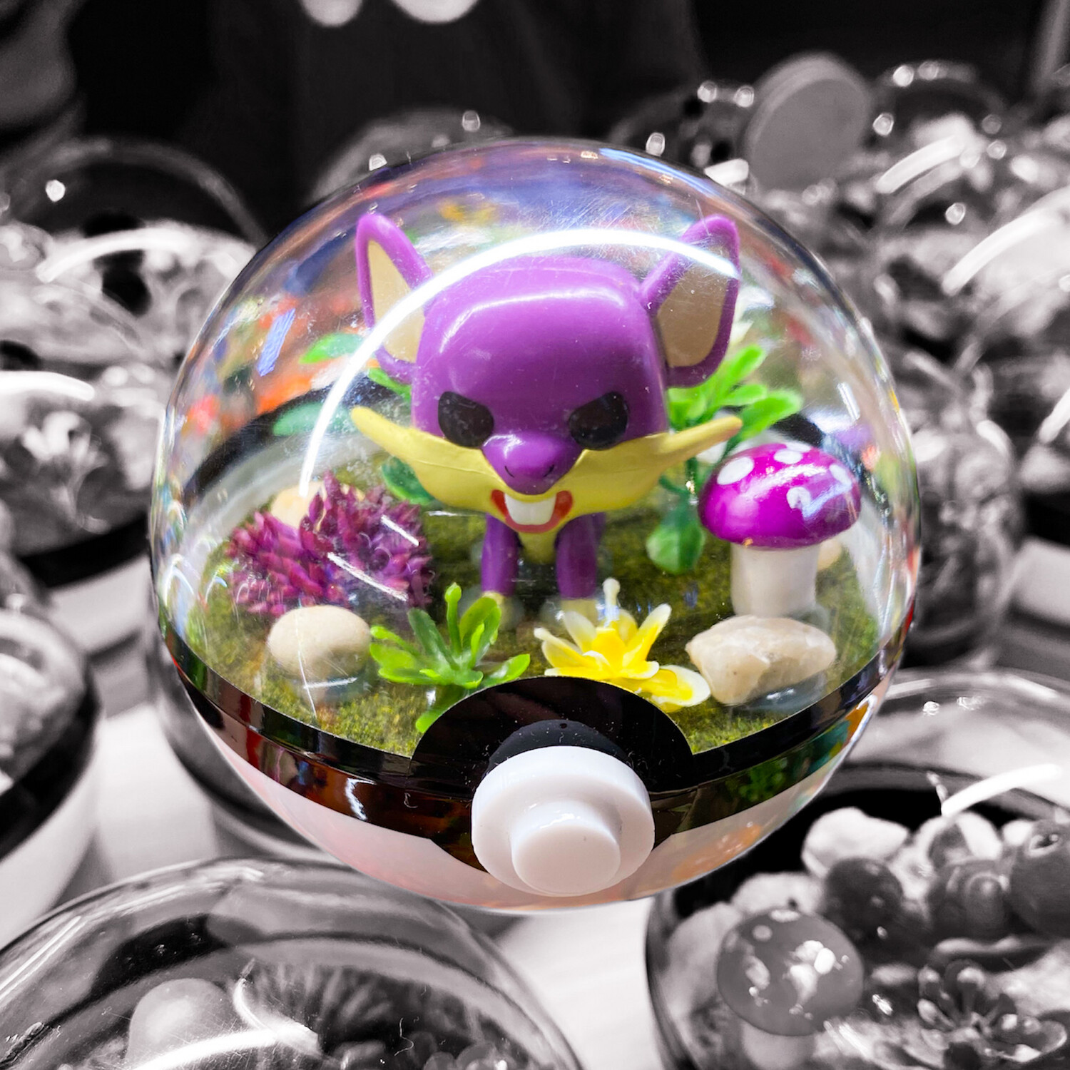 Rattata Terrarium